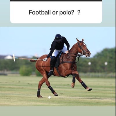 intercomboys's profile picture. I started off believing all MENS were equal. I know that’s the MosT unlikely thing ever to HAVE BeeN🐝 ~ LEE KUAN YEW❤️💛👒🧢⛑🧤🦺🎩🎓💼🐯🐯🦁