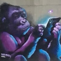 Nick Olczak (@nolczak) 's Twitter Profile