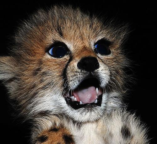 SpencerLa's profile picture. spencerr!