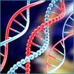 5th World congress on
Biotechnology will be held during
June 25-27, 2014