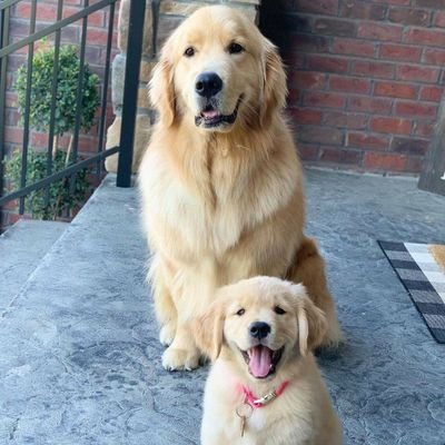 upbeatpsyche's profile picture. HR