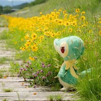 ヾ(*ΦωΦ)ノ (@sp1caaa) 's Twitter Profile