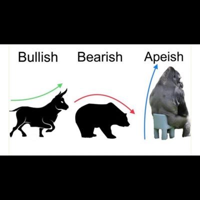 D_K81er's profile picture. 