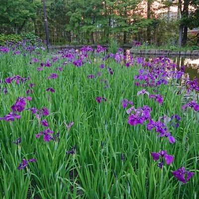 o3oWOUtIIkVpAvT's profile picture. 議論をするのは色々な考えを聞けるから好きなんだけど、これ以上、話しても時間の無駄と思う時は返事をしないので、しつこく言って来ないで下さい🙏
あと、意味不なリプには時間の無駄なので返事は控えさせて頂きます🙇
この人ならちゃんと話しが出来ると思う人とは議論したいと思います。