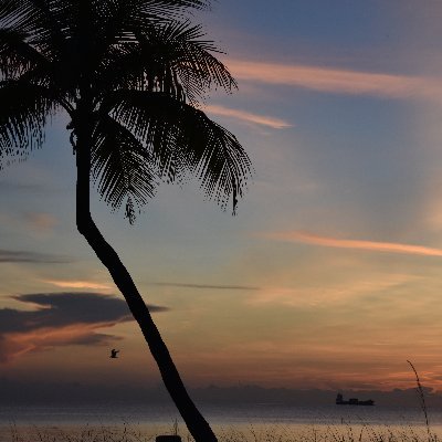 MrLasOlas's profile picture. Realtor and Mortgage Broker specializing in Luxury Waterfront Homes,Las Olas area, and Ft Lauderdale oceanfront condos.