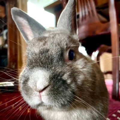 Mickey5418's profile picture. 