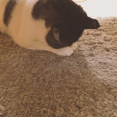 れおんさんのプロフィール画像