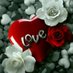 صنعانيه وافتخر (@cvujj7htodavval) Twitter profile photo صنعانيه وافتخر (@cvujj7htodavval) Twitter profile photo