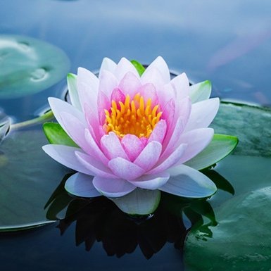 Một dòng sông đã ra đến biển vẫn không bao giờ nghỉ ngơi