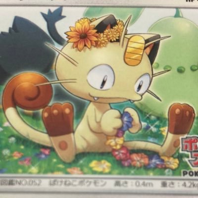 ポケカやってます！開封結果などツイートしていきます(^^)遊戯王も少しですが集めてます！ 無言フォロー失礼します！(^^)今はポケカ 、遊戯王、子育てがメインです(^^)コレクションもたまに公開します(●´ω｀●) 推しポケはニャースです(^^)