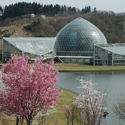 新潟県立植物園 Niigata Bgarden Twitter