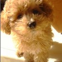 cindy sun - @cindysun666 - Twitter