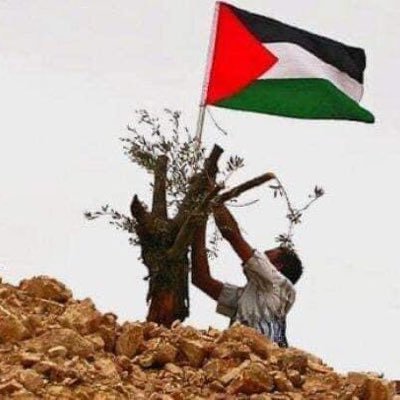 لو كان كل شيء بالقوه لما اكل العصفور شيئا مع النسر