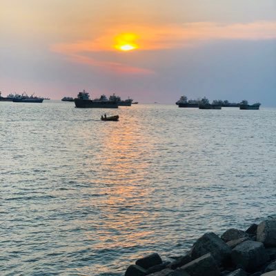 SabrinaMostaf11's profile picture. 