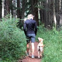 Marilyn Arsenault (@1fastdiva) 's Twitter Profile