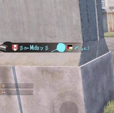 AMAWM1234's profile picture. PLAYED PUBG