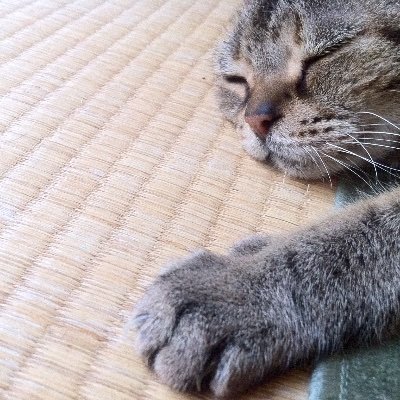 vCJBiSIRfGzUm2h's profile picture. 