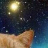 がちどん (@stdn_yrash) 's Twitter Profile