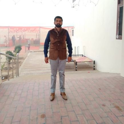 NavjotSran11's profile picture. 