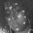 lil_ingrid7's profile image