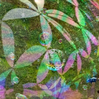 mataomori's profile picture. OTHER SIDE