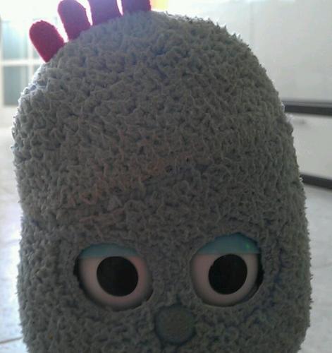 blogzonanord's profile picture. 