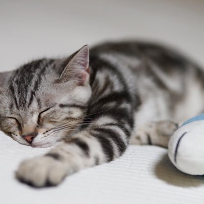 seojean's profile picture. 