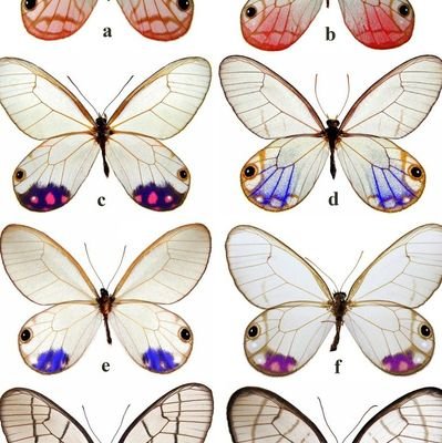 wiyoo5's profile picture. 21

🪻🍥