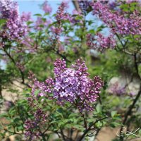 Emıne (@emne14437298) Twitter profile photo