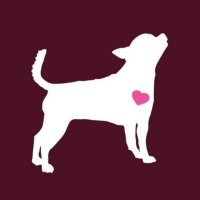 Long Way Home Adoptables (@lwhadoptables) 's Twitter Profile