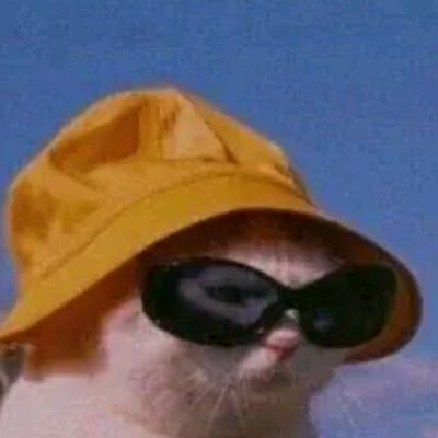 Gabriel36621188's profile picture. Charli 🍩