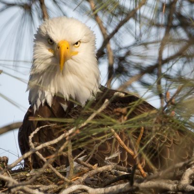 Producer and host of the Nauti By Nature with Natureboy podcast.

Rumble: https://t.co/JP7hxk0dTc
Audio Podcast is Available at All Podcast Providers