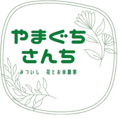 yamaguchisanch1's profile picture. 北海道新ひだか町みついし|花とお米農家|デルフィニウム💐|北海道米おぼろづき🍚|家族経営|2GALSの母|食べチョク|ポケマル|OWL|ホームページはこちら☞https://t.co/WA6OtWjpL3