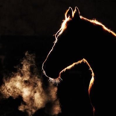 bin_srhan97's profile picture. قُل الحمدُلله حتى يتَّسِع صدرك للحياة، وقُل الحمدلله فإنَّ بِها تطيبُ الأحوال