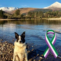 Lenny Hartley Arranach (@jinglylenny) 's Twitter Profile