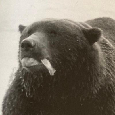 notmo5's profile picture. C.R.E.A.M crafts rule everything around me