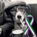 Hartley Hare 💜🤍💚Member of the wrong crowd. (@poundshophare) Twitter profile photo Hartley Hare 💜🤍💚Member of the wrong crowd. (@poundshophare) Twitter profile photo