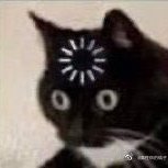 lm_v2b's profile picture. 이렇게 죽을 순 없어
버킷리스트 다 해봐야 해
짧은 인생 쥐뿔도 없는 게
스쳐 가네 파노라마처럼