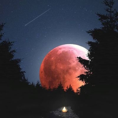 AnushaJaved2's profile picture. 