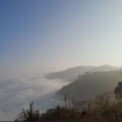 stardustsrik's profile picture. Pale Blue .