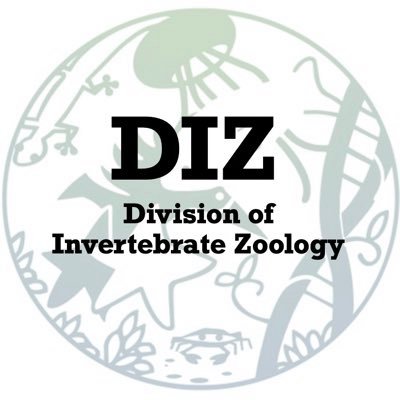 Division of Invertebrate Zoology for the Society of Integrative and Comparative Biology