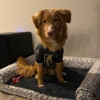 BurleyLegal (@burleylegal) 's Twitter Profile