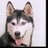 kichisa631204's profile image