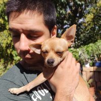 Maury Guzman (@mauryguzman8) 's Twitter Profile