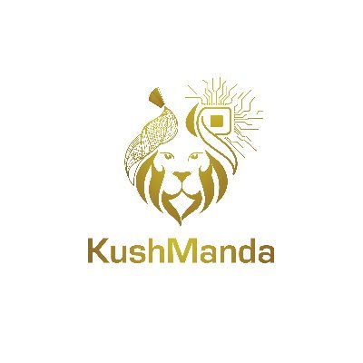 KushmandaT's profile picture. Human Centric AI Startup