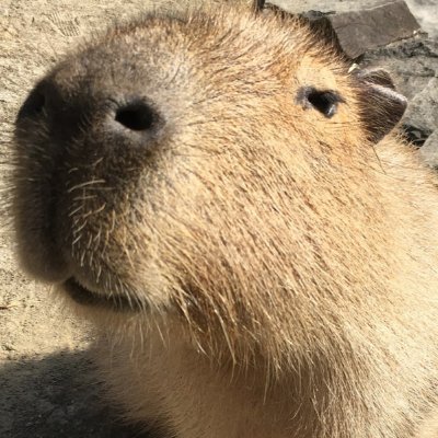 serick_ow's profile picture. 