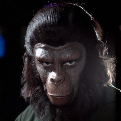 project_caesar's profile picture. OG. Leader of Ape Army. Bored AF. Ape Owned. 🦍 🦍✊🏽✊🏽🦍🦍