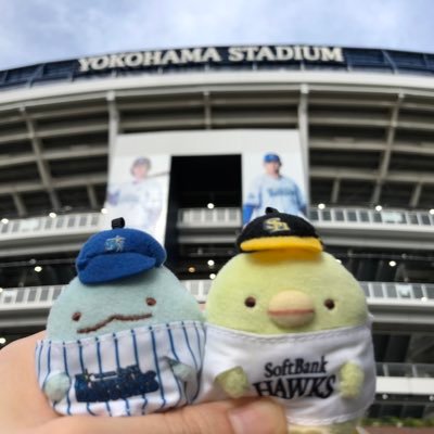 ハロプロと野球が好き。☆H→和田毅投手、柳田悠岐選手、中村晃選手、正木智也選手 ☆De→宮﨑敏郎選手、石田健大投手、東克樹投手  ☆D→岩嵜翔投手を応援。今永昇太も好き。推しは…娘。は北川、つばきは河西、アンジュは川村、ビヨは西田、Juiceは植村、OCHAは斉藤。