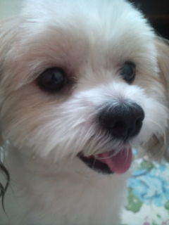 nek0r0ck's profile picture. 何それ美味しいの？