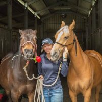 Georgia Bruce(@ClickerHorses) 's Twitter Profile Photo